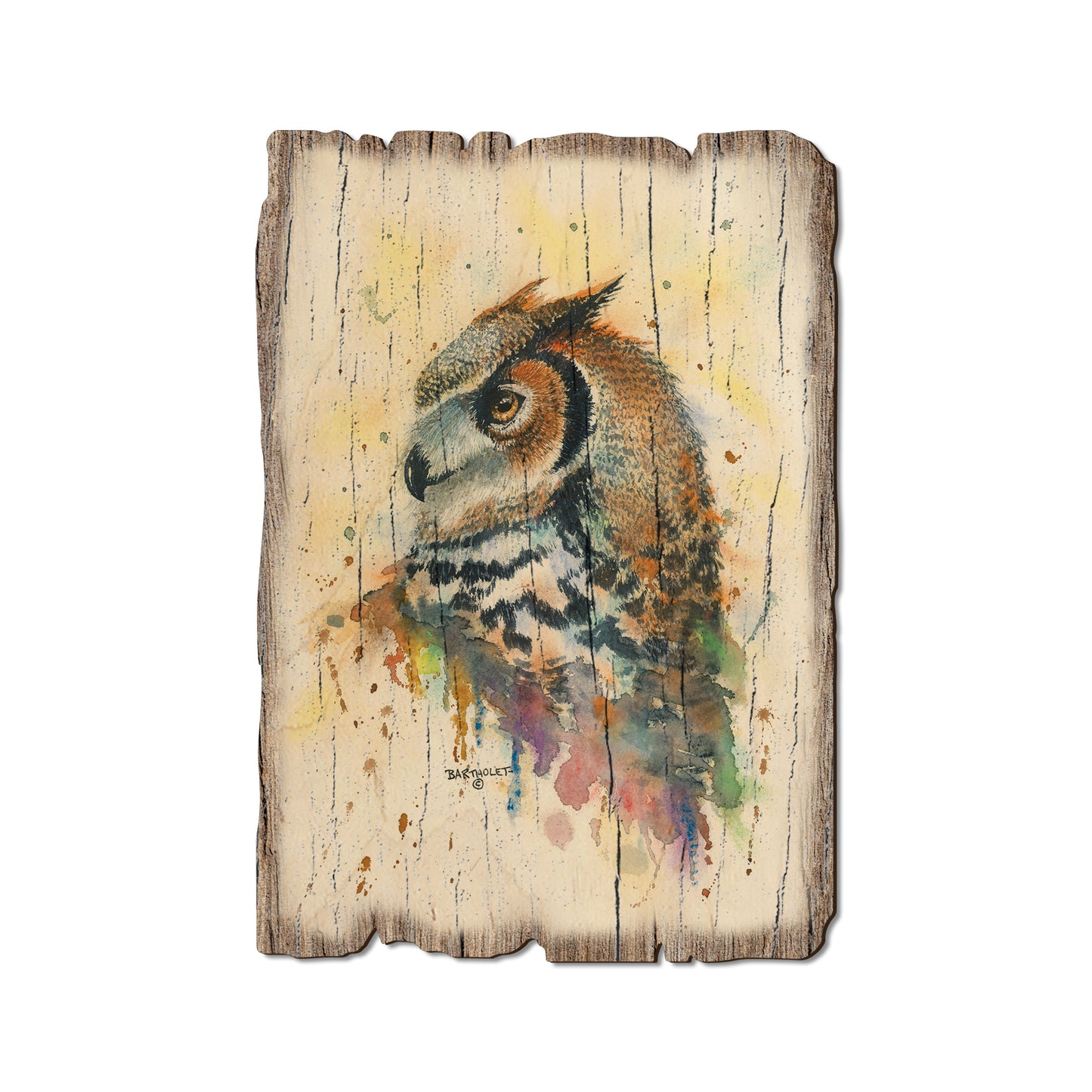 Bartholet's Watchful Eye - Rustic Edge Postcards & Magnets Rustic Edge Postcard (5pk // $2.80ea)