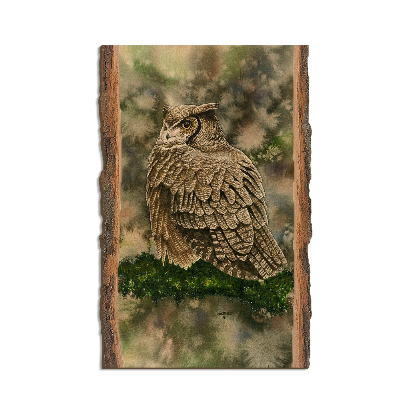 Bartholet's Woodland Ghost  - Live Edge Live Edge Magnet (5pk // $2.80ea)