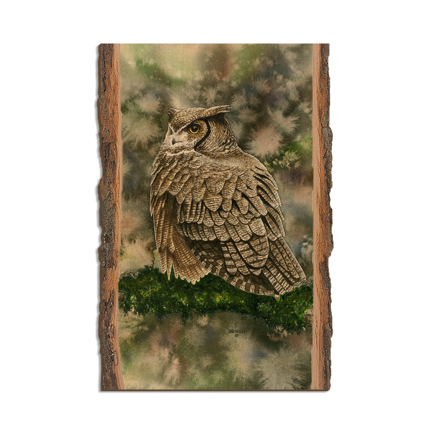Bartholet's Woodland Ghost  - Live Edge Live Edge Postcard (5pk // $2.80ea)