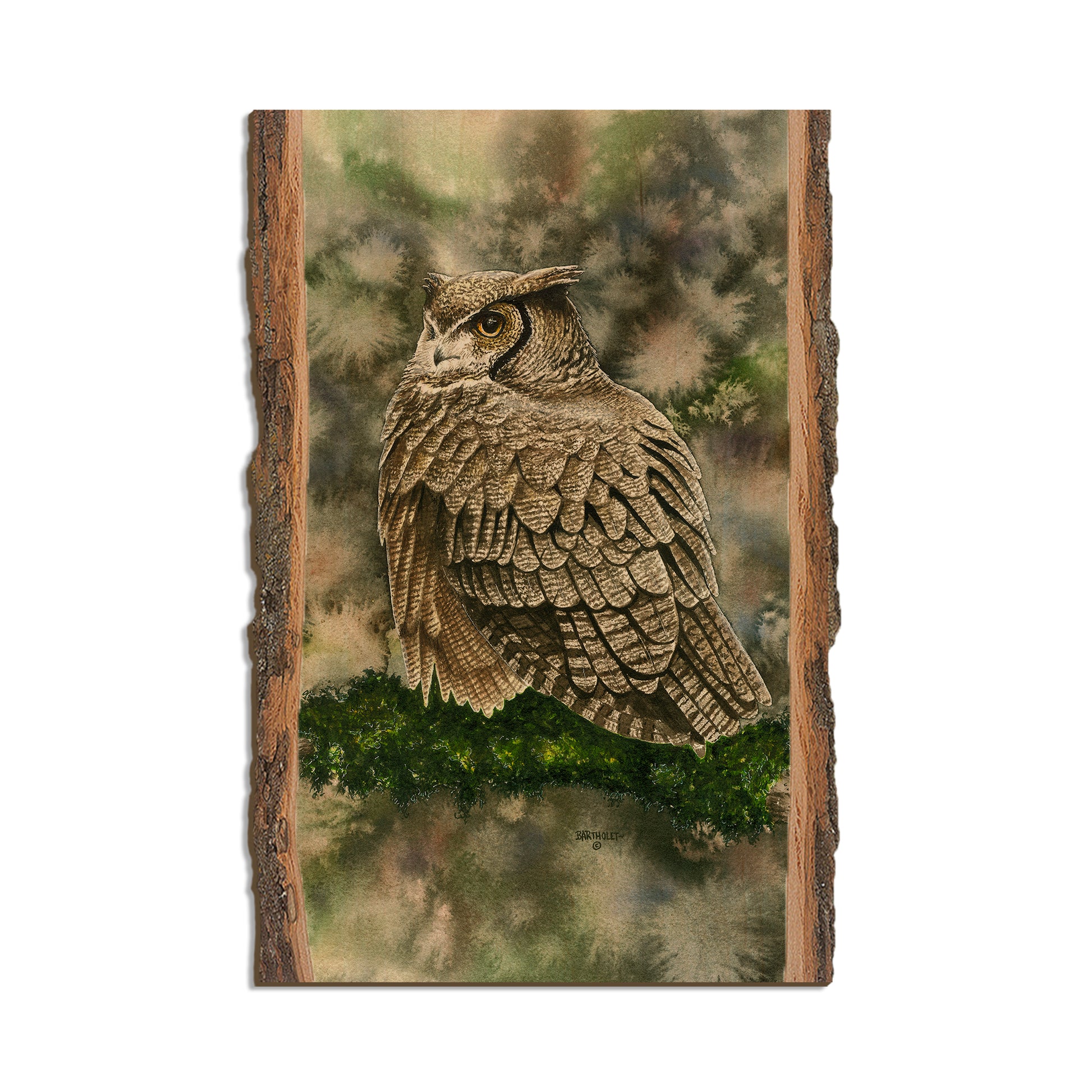 Bartholet's Woodland Ghost  - Live Edge Live Edge Postcard (5pk // $2.80ea)