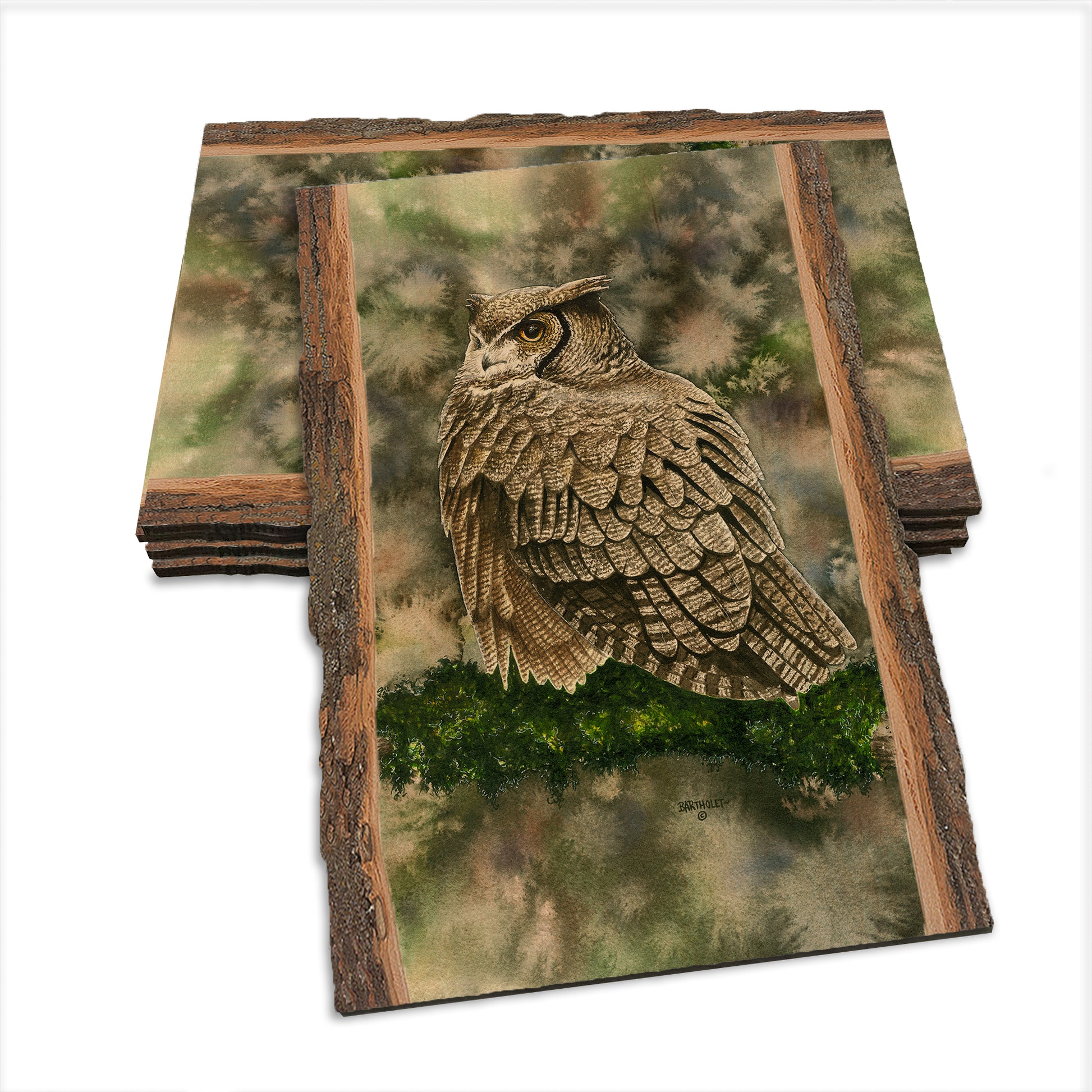 Bartholet's Woodland Ghost  - Live Edge Live Edge Postcard (5pk // $2.80ea)