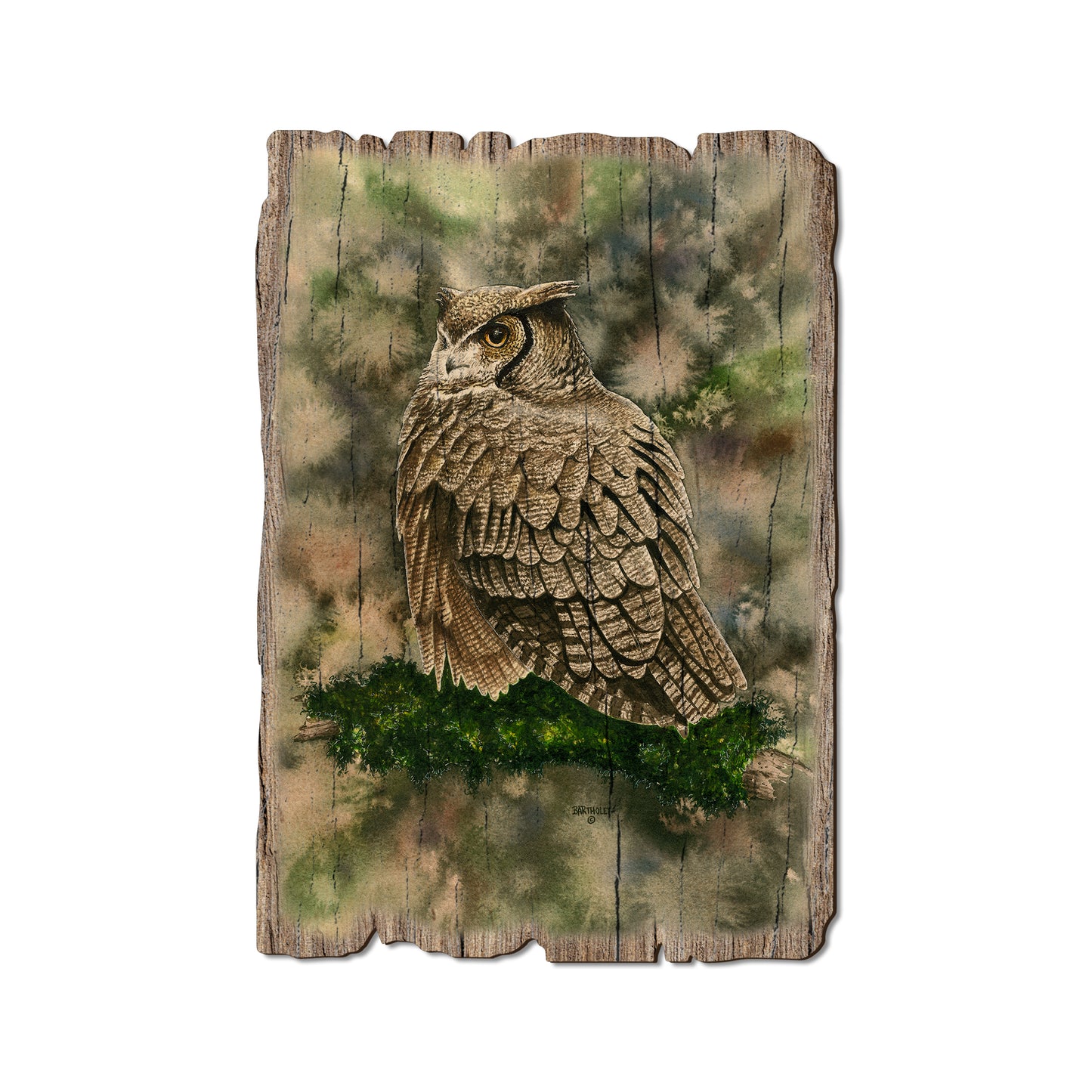 Bartholet's Woodland Ghost - Rustic Edge Postcards & Magnets Rustic Edge Postcard (5pk // $2.80ea)