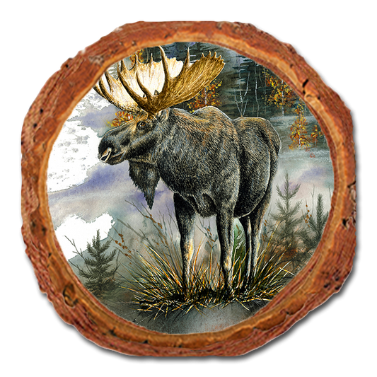 Coaster: Live Edge - Bartholet's Woodland Majesty (Pack of 5)