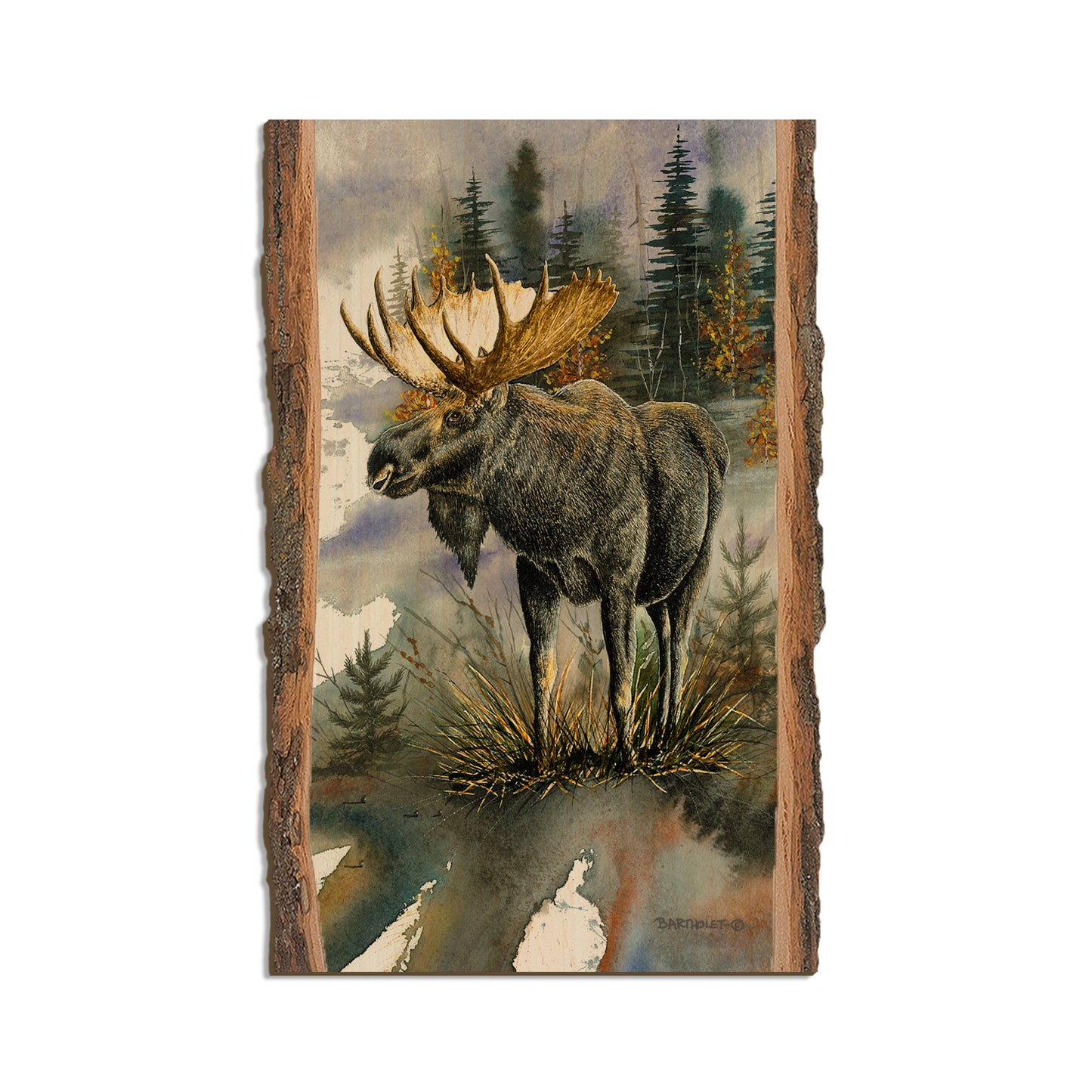Bartholet's Woodland Majesty  - Live Edge Live Edge Magnet (5pk // $2.80ea)