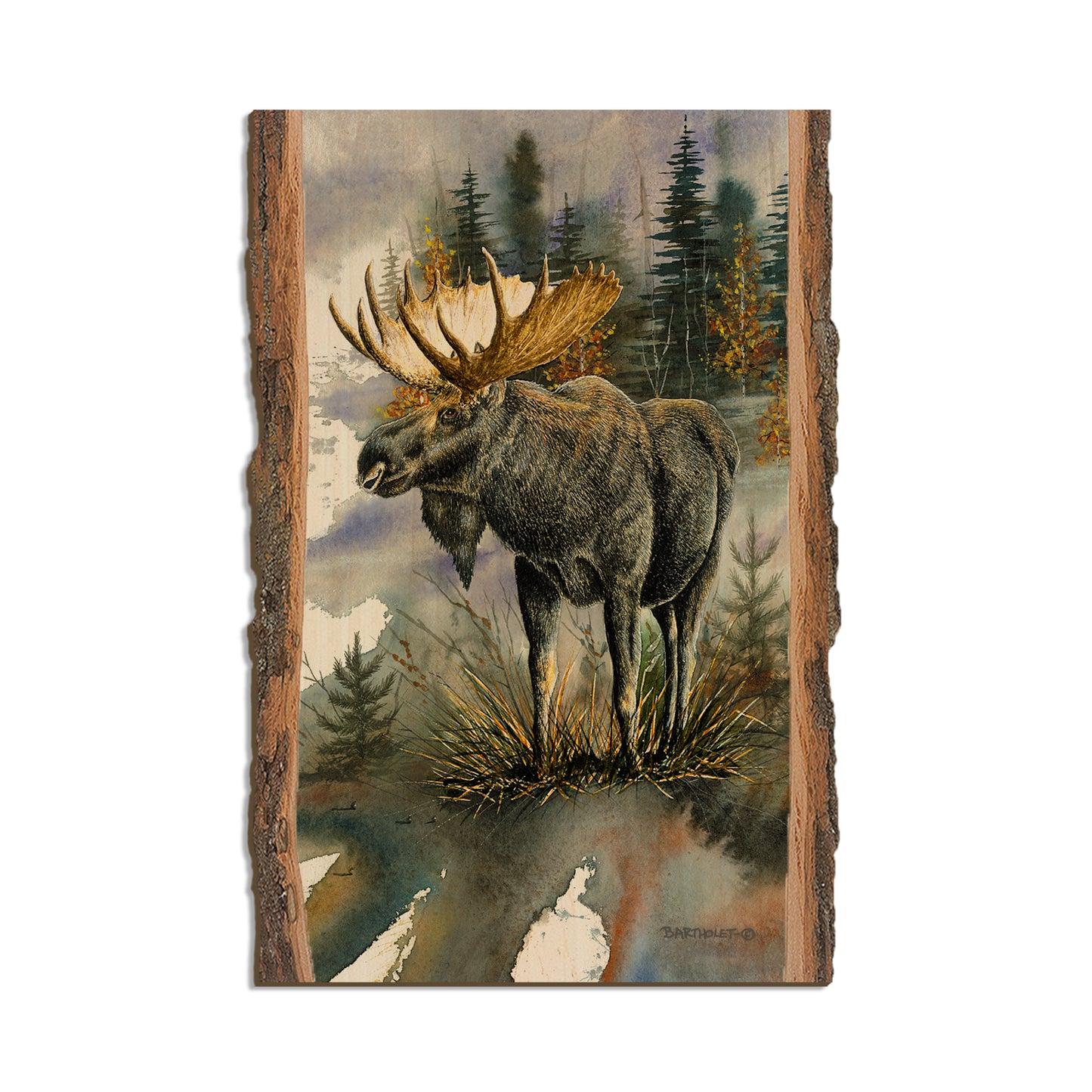 Bartholet's Woodland Majesty  - Live Edge Live Edge Postcard (5pk // $2.80ea)