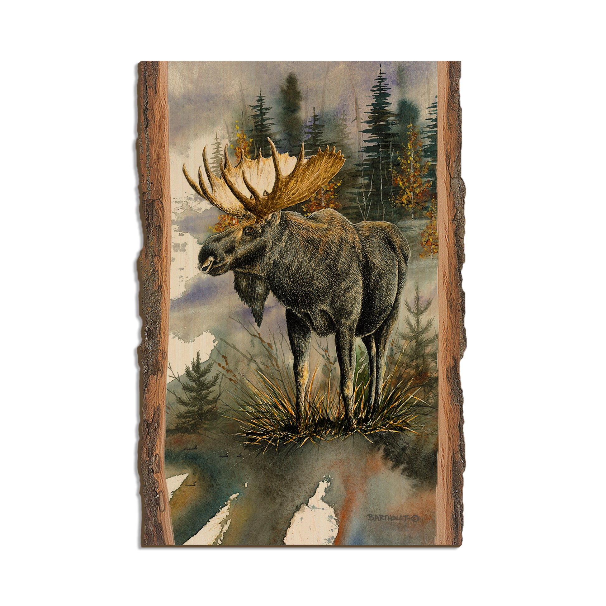 Bartholet's Woodland Majesty  - Live Edge Live Edge Postcard (5pk // $2.80ea)