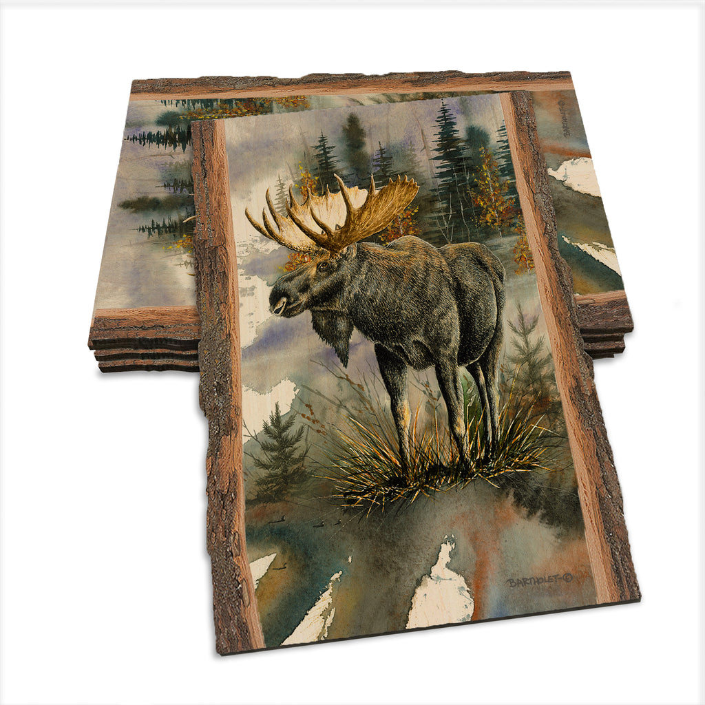 Bartholet's Woodland Majesty  - Live Edge Live Edge Postcard (5pk // $2.80ea)