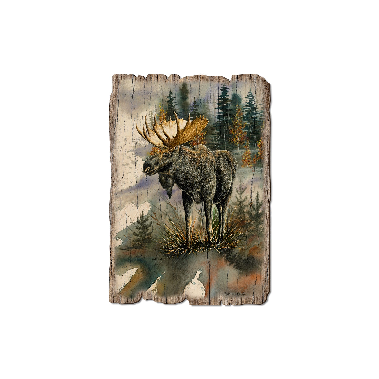 Bartholet's Woodland Majesty - Rustic Edge Postcards & Magnets Rustic Edge Magnet (5pk // $2.80ea)