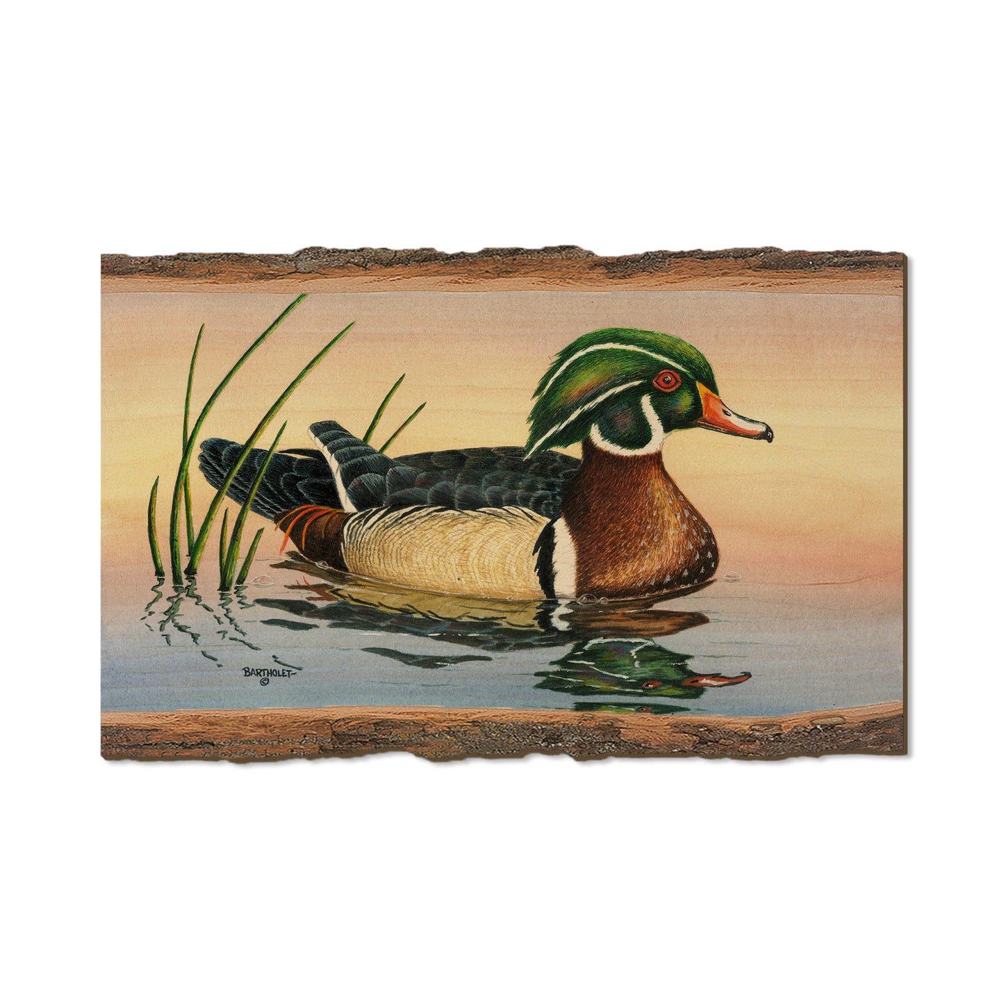 Bartholet's Woody  - Live Edge Live Edge Magnet (5pk // $2.80ea)