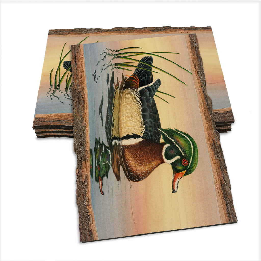 Bartholet's Woody  - Live Edge Live Edge Postcard (5pk // $2.80ea)