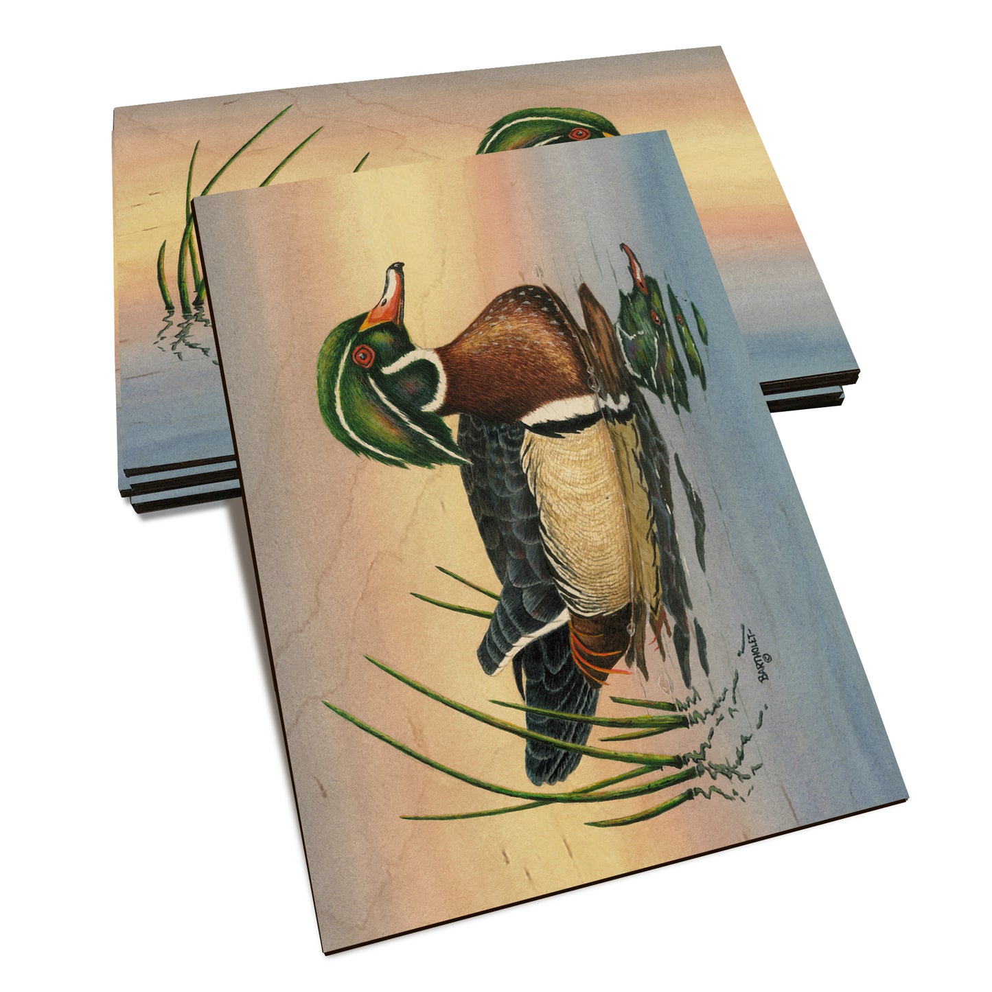 Bartholet's Woody  - Classic Edge Classic Edge Postcard (5pk // $2.80ea)