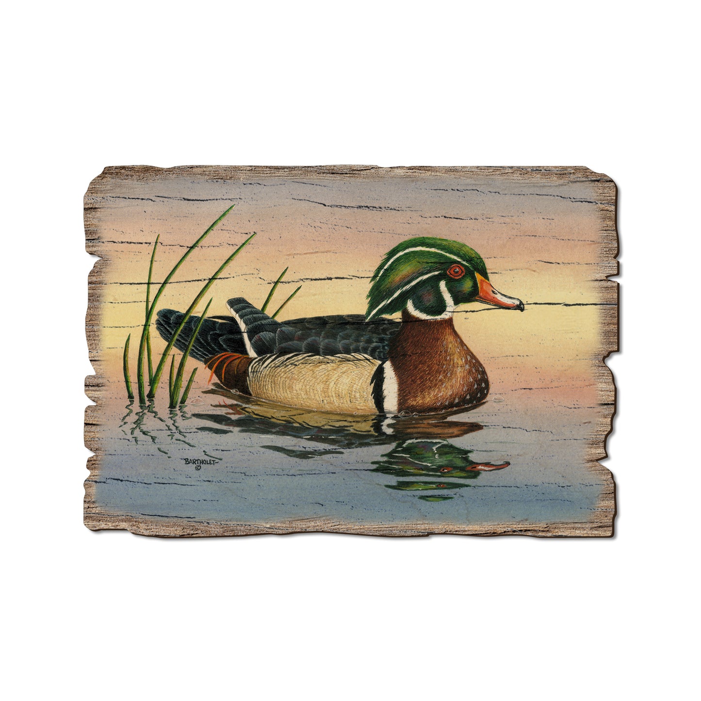 Bartholet's Woody - Rustic Edge Postcards & Magnets Rustic Edge Postcard (5pk // $2.80ea)
