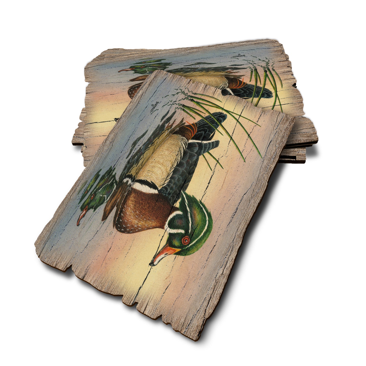 Bartholet's Woody - Weathered Edge Rustic Edge Postcard (5pk // $2.80ea)