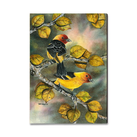 Magnet: Classic Edge - Bartholet's Tanagers