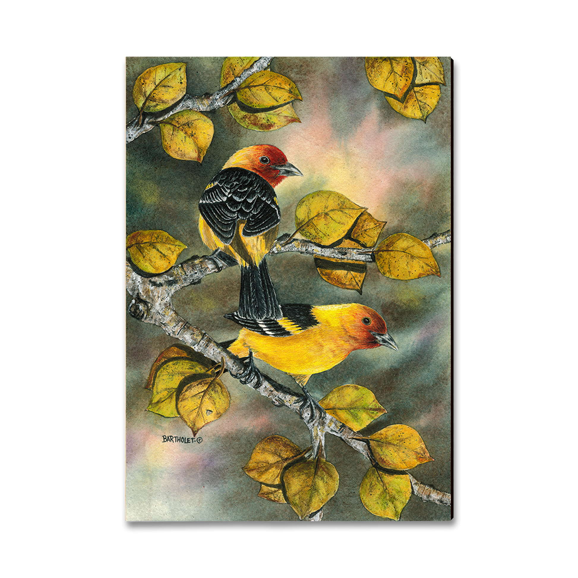 Ornament: Classic Edge - Bartholet's Tanagers