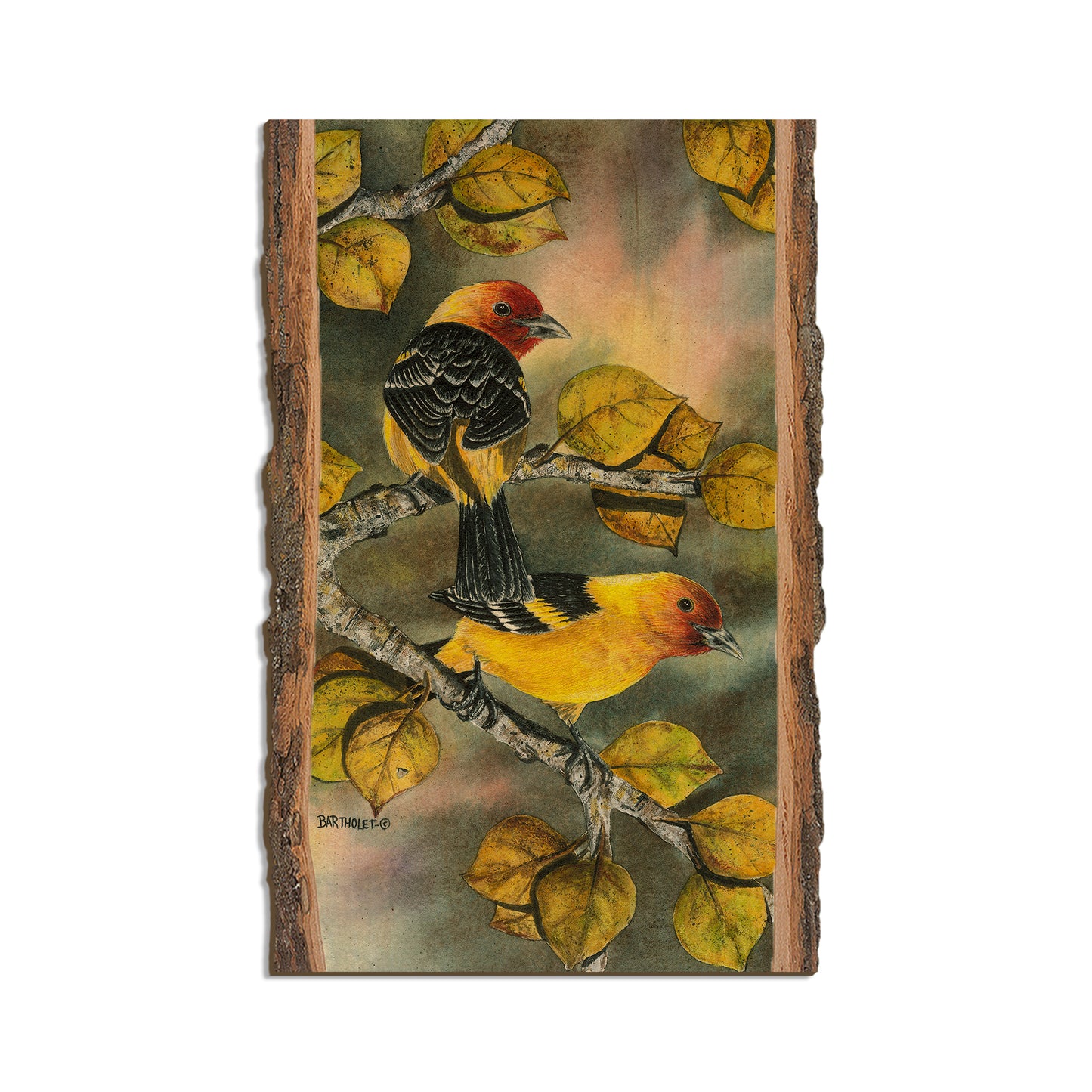 Bartholet's Tanagers  - Live Edge Live Edge Magnet (5pk // $2.80ea)