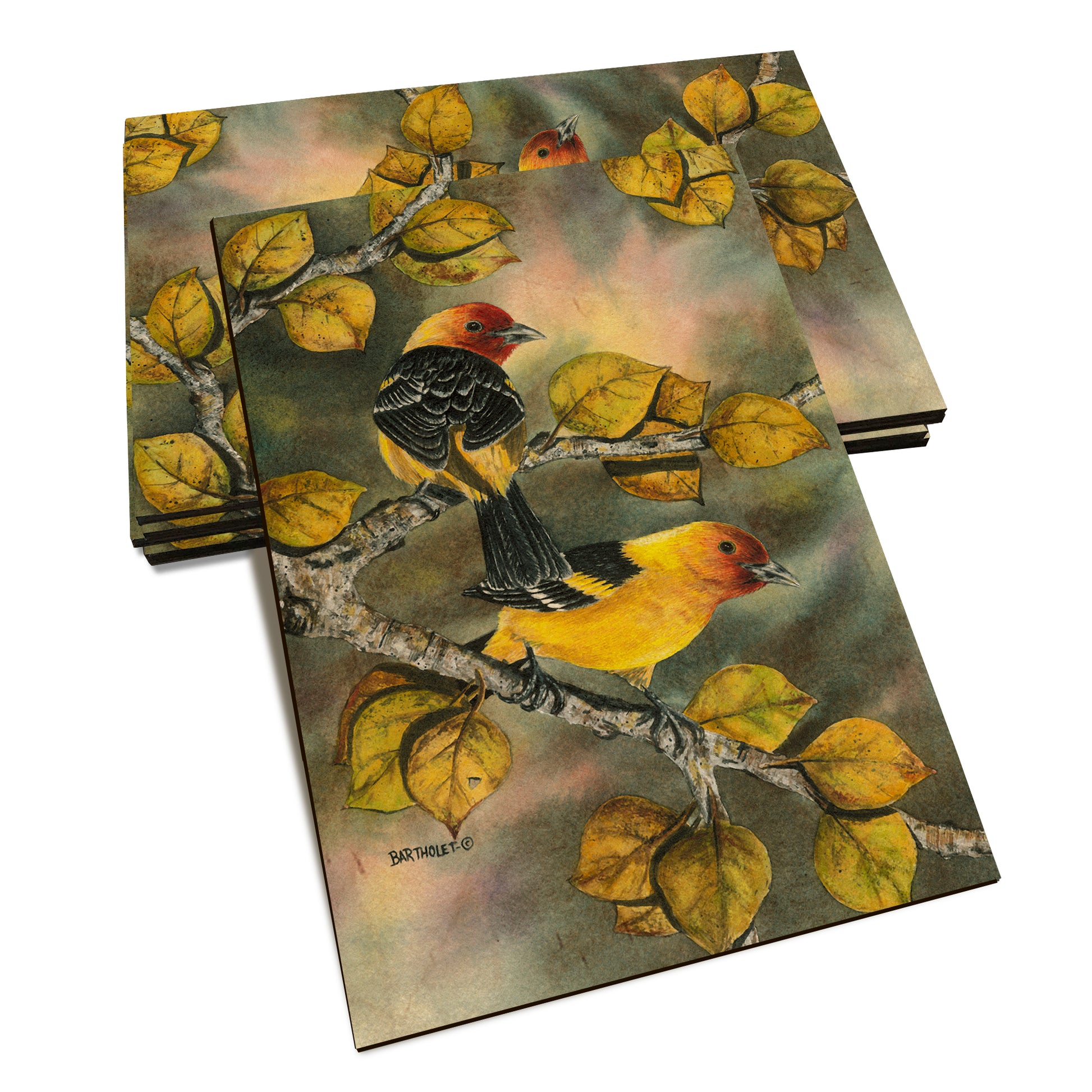 Bartholet's Western Tanagers  - Classic Edge Classic Edge Postcard (5pk // $2.80ea)