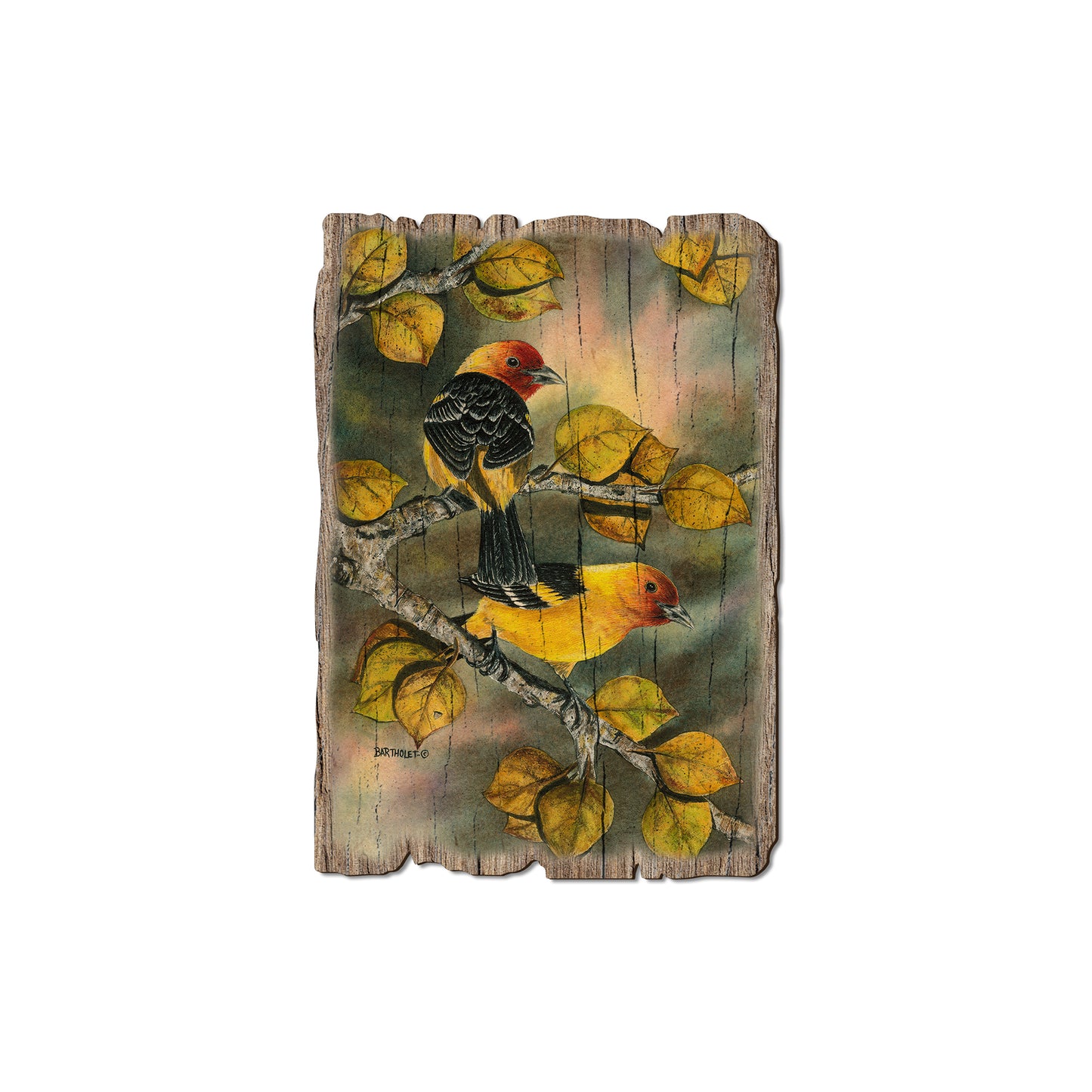 Bartholet's Western Tanagers - Rustic Edge Postcards & Magnets Rustic Edge Magnet (5pk // $2.80ea)