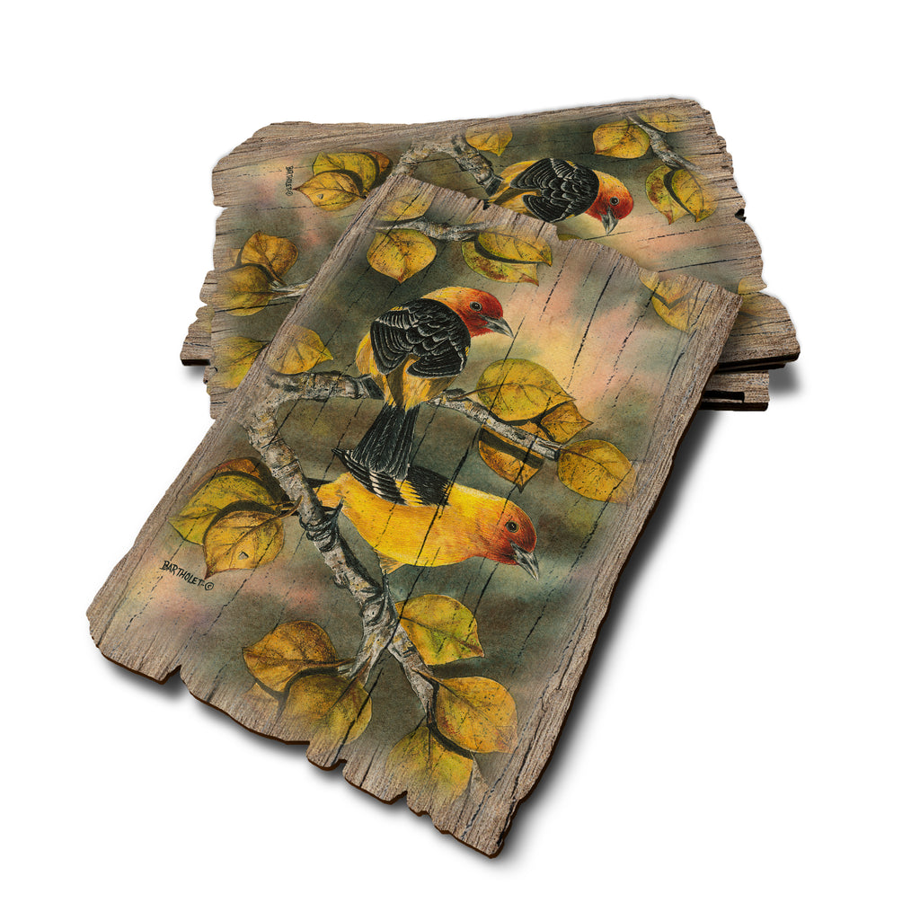 Bartholet's Western Tanagers - Weathered Edge Rustic Edge Postcard (5pk // $2.80ea)