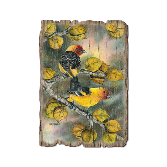 Greeting Card: Weathered Edge - Bartholet's Tanagers