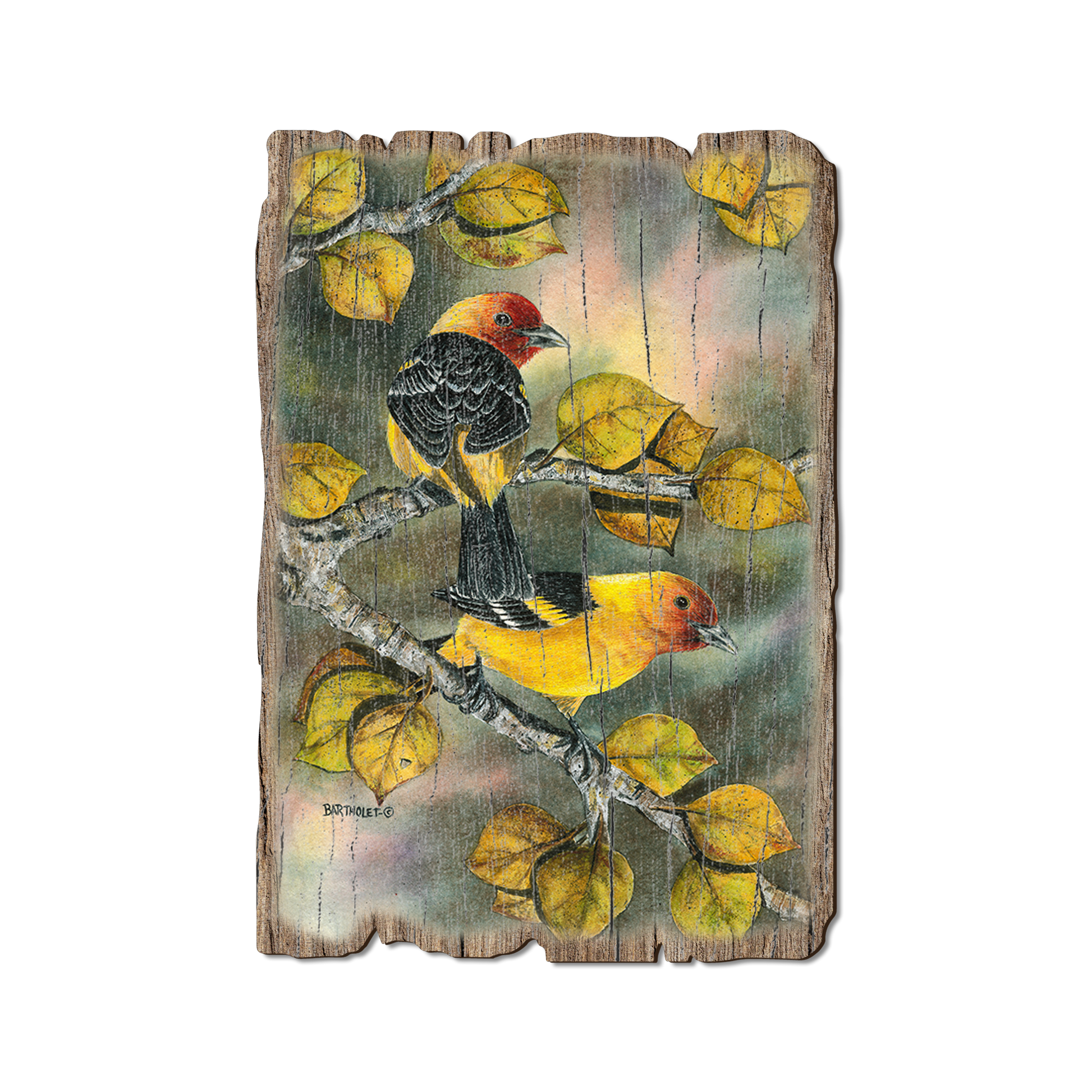 Ornament: Weathered Edge - Bartholet's Tanagers