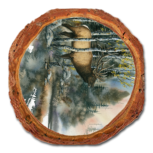 Coaster: Live Edge - Bartholet's You Talkin' To Me (Pack of 5)