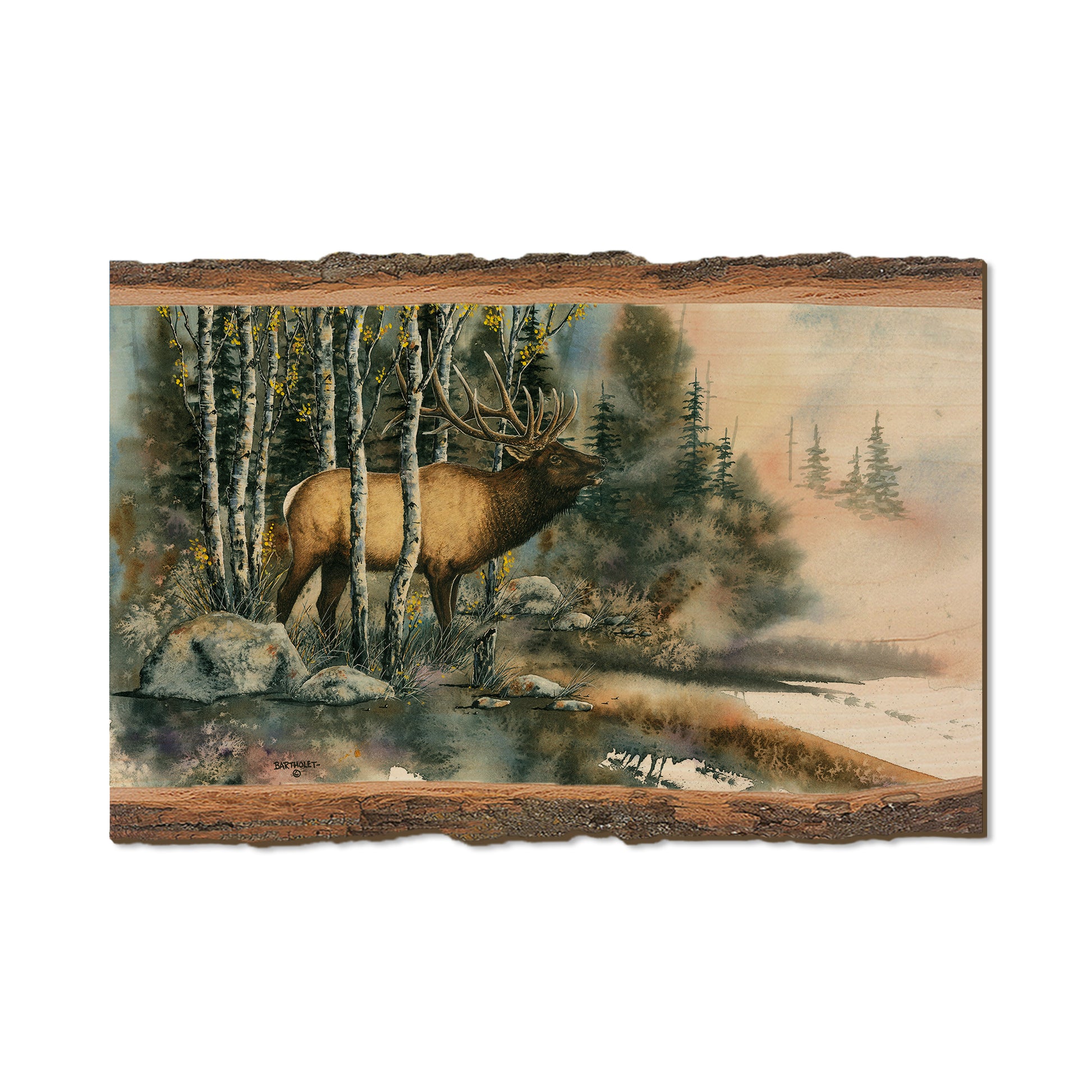Bartholet's You Talkin' To Me  - Live Edge Live Edge Postcard (5pk // $2.80ea)