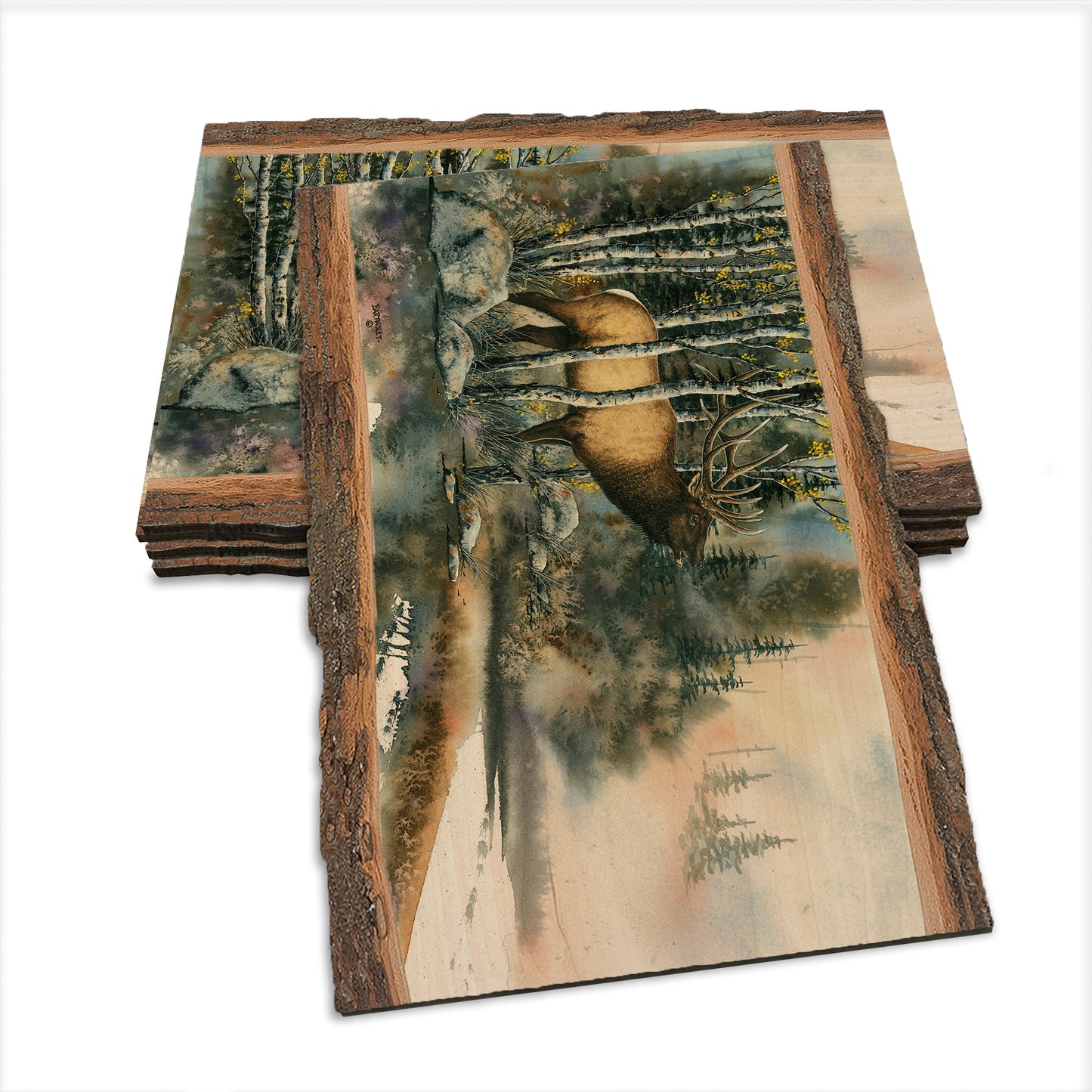 Bartholet's You Talkin' To Me  - Live Edge Live Edge Postcard (5pk // $2.80ea)