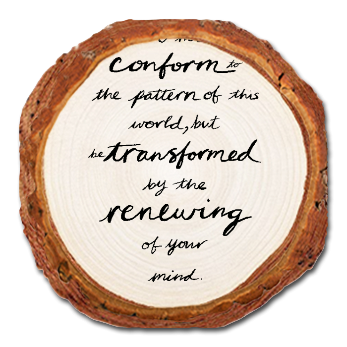 Coaster: Live Edge - Don't Conform (Pack of 5)