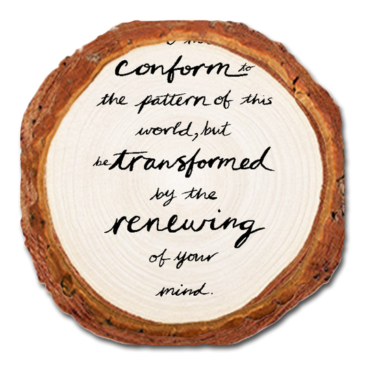 Coaster: Live Edge - Don't Conform (Pack of 5)