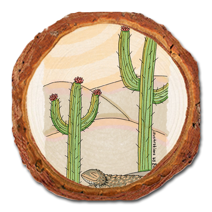 Coaster: Live Edge - Desert Cactus (Pack of 5)