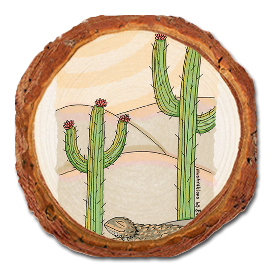 Coaster: Live Edge - Desert Cactus (Pack of 5)