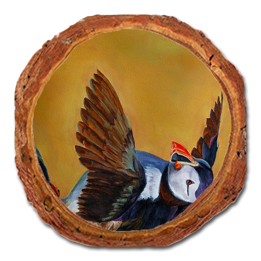 Coaster: Live Edge - Twitchell's Afternoon Puffin