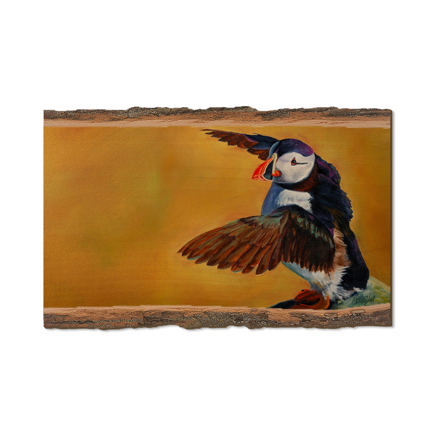 Twitchell's Afternoon Puffin - Live Edge Live Edge Magnet (5pk // $2.80ea)