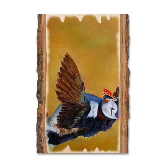 Magnet: Live Edge - Twitchell's Afternoon Puffin