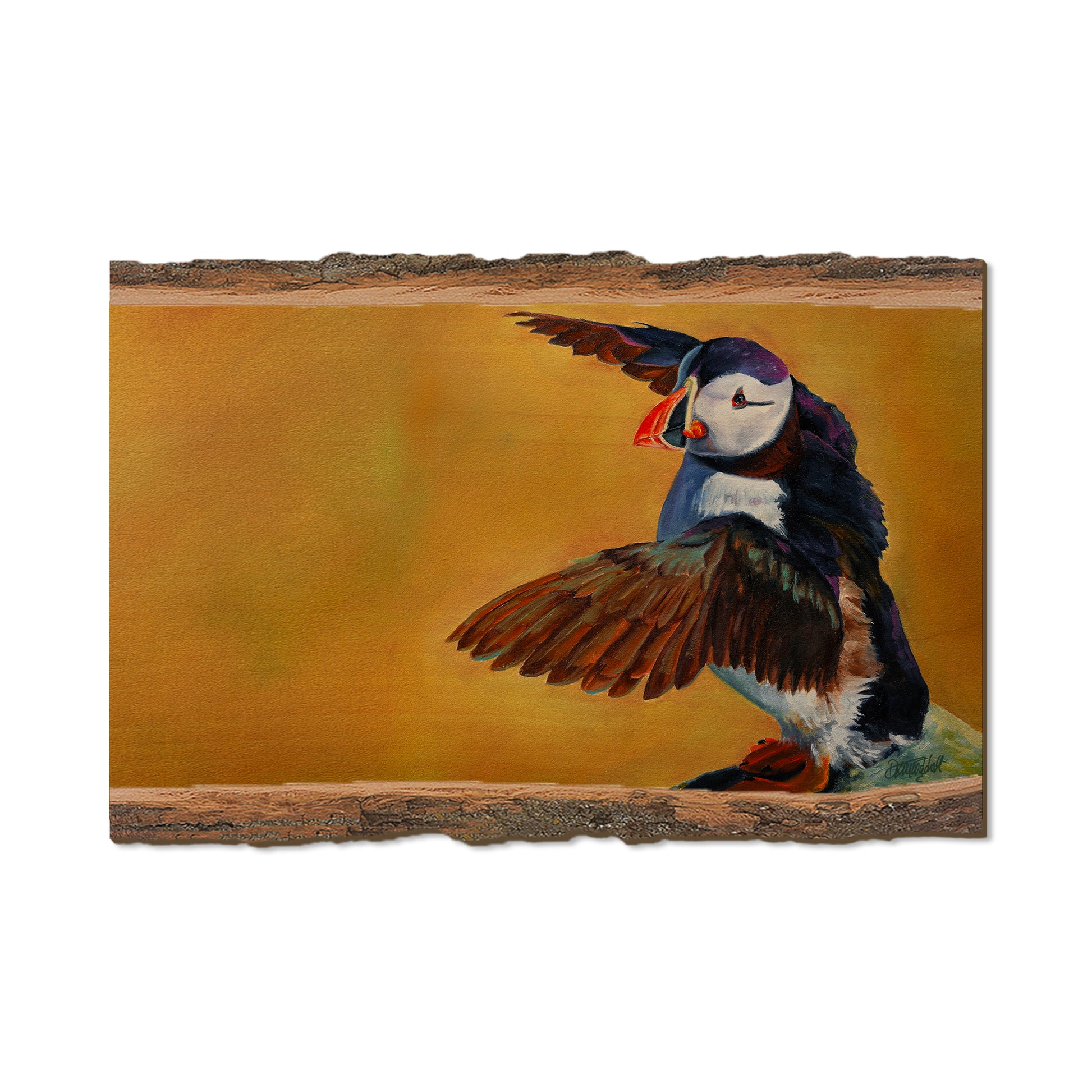 Twitchell's Afternoon Puffin - Live Edge Live Edge Postcard (5pk // $2.80ea)