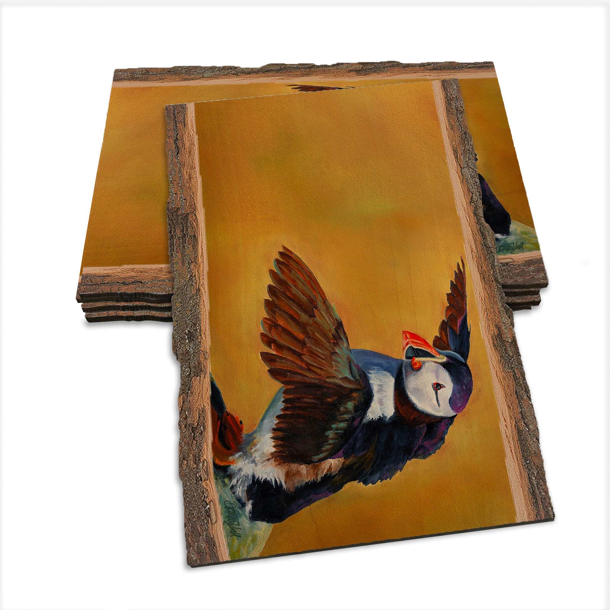 Twitchell's Afternoon Puffin - Live Edge Live Edge Postcard (5pk // $2.80ea)