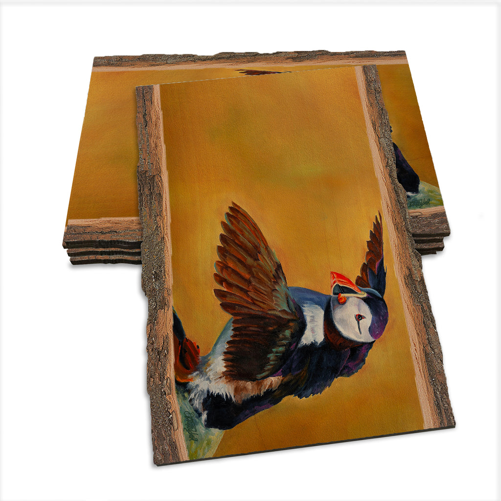 Twitchell's Afternoon Puffin - Live Edge Live Edge Postcard (5pk // $2.80ea)