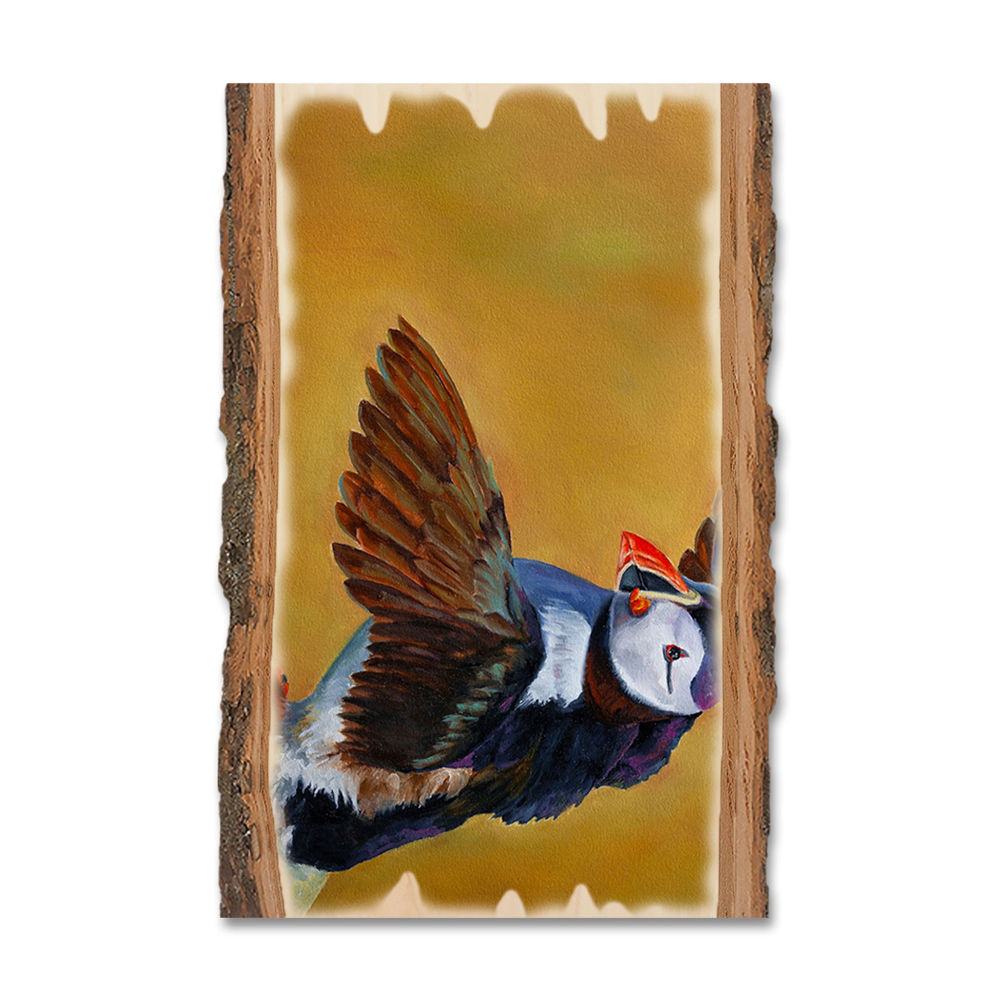 Postcard: Live Edge - Twitchell's Afternoon Puffin