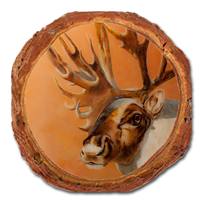 Coaster: Live Edge - Twitchell's Bull Caribou (Pack of 5)