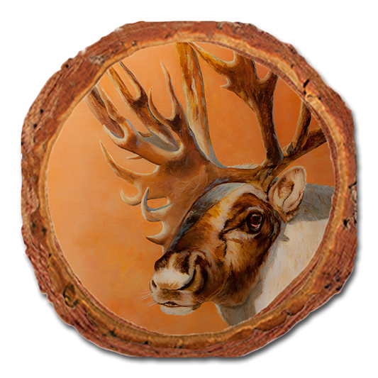 Coaster: Live Edge - Twitchell's Bull Caribou (Pack of 5)