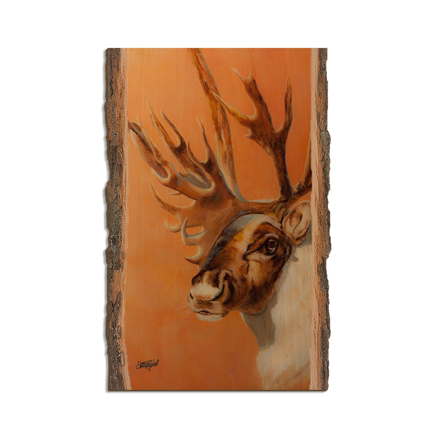 Twitchell's Bull Caribou - Live Edge Live Edge Magnet (5pk // $2.80ea)