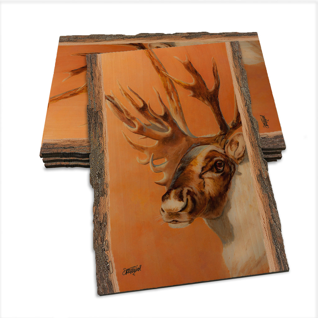 Twitchell's Bull Caribou - Live Edge Live Edge Postcard (5pk // $2.80ea)