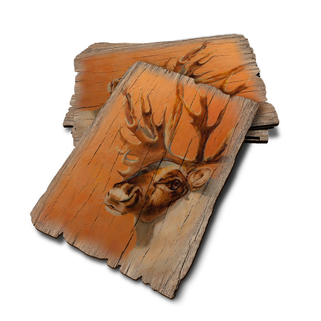 Twitchell's Bull Caribou - Weathered Edge Rustic Edge Postcard (5pk // $2.80ea)