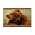 Twitchell's Bear Cub - Live Edge Live Edge Postcard (5pk // $2.80ea)