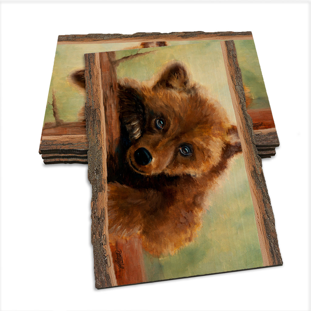Twitchell's Bear Cub - Live Edge Live Edge Postcard (5pk // $2.80ea)