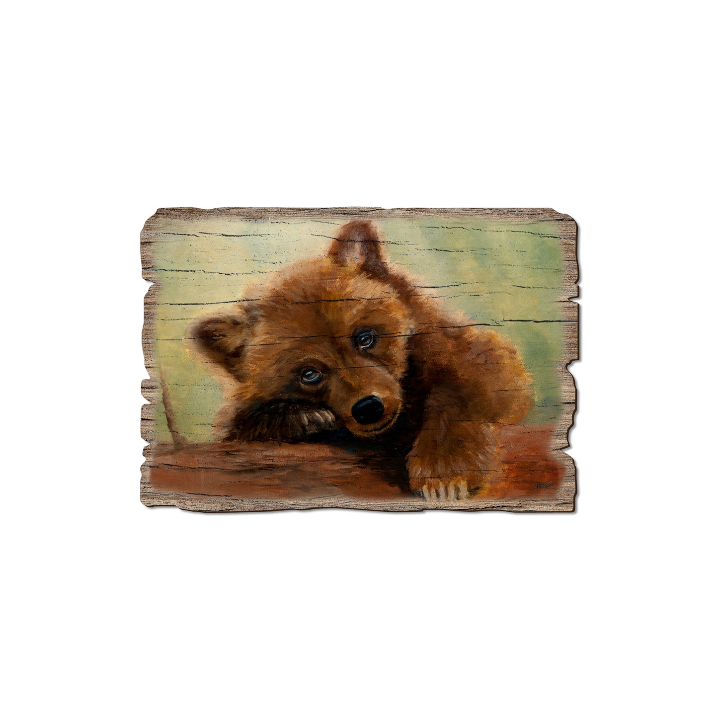Twitchell's Bear Cub - Rustic Edge Postcards & Magnets Rustic Edge Magnet (5pk // $2.80ea)