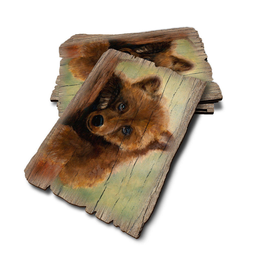 Twitchell's Bear Cub - Weathered Edge Rustic Edge Postcard (5pk // $2.80ea)