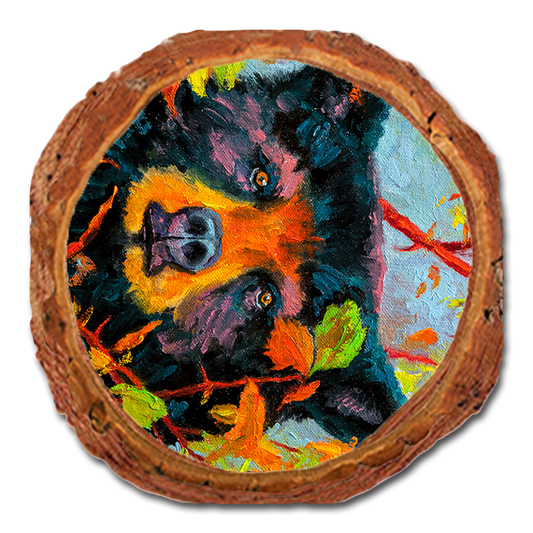 Coaster: Live Edge - Twitchell's Color Bear (Pack of 5)