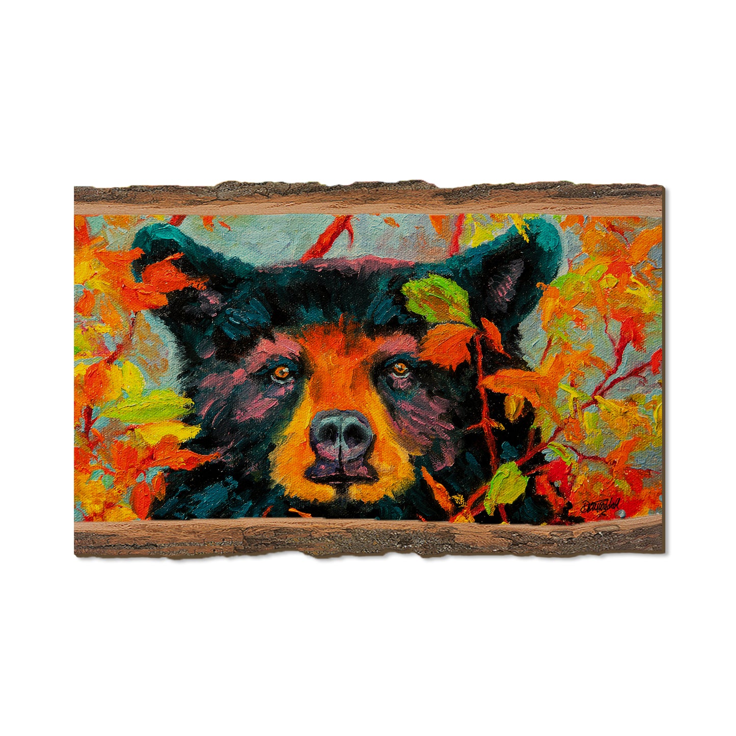 Twitchell's Color Bear - Live Edge Live Edge Magnet (5pk // $2.80ea)